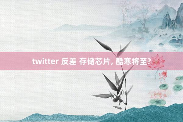 twitter 反差 存储芯片， 酷寒将至?
