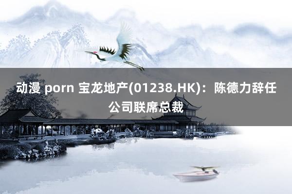 动漫 porn 宝龙地产(01238.HK)：陈德力辞任公司联席总裁
