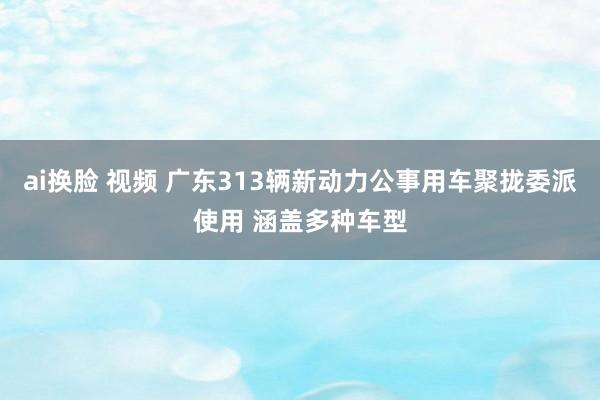 ai换脸 视频 广东313辆新动力公事用车聚拢委派使用 涵盖多种车型