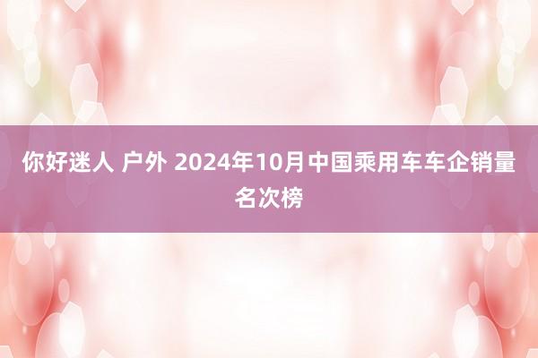 你好迷人 户外 2024年10月中国乘用车车企销量名次榜