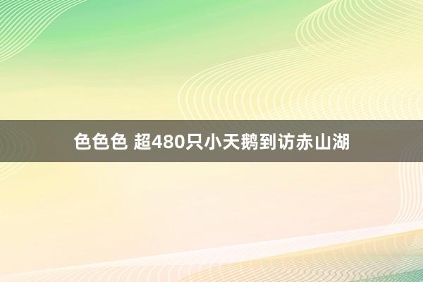 色色色 超480只小天鹅到访赤山湖