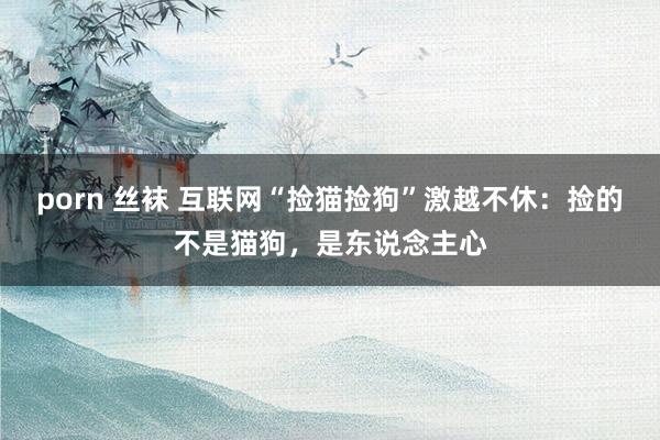 porn 丝袜 互联网“捡猫捡狗”激越不休：捡的不是猫狗，是东说念主心