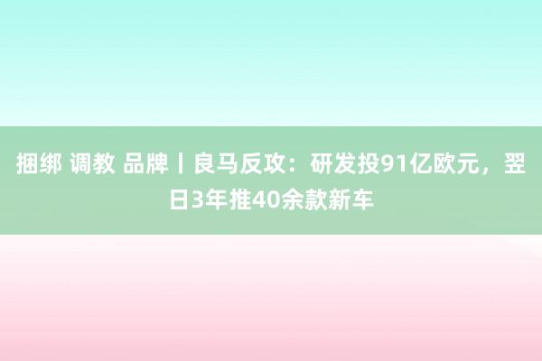 捆绑 调教 品牌丨良马反攻：研发投91亿欧元，翌日3年推40余款新车