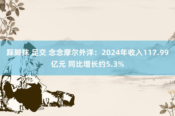 踩脚袜 足交 念念摩尔外洋：2024年收入117.99亿元 同比增长约5.3%