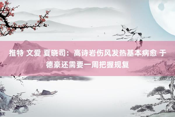 推特 文爱 夏晓司:高诗岩伤风发热基本病愈 于德豪还需要一周把握规复