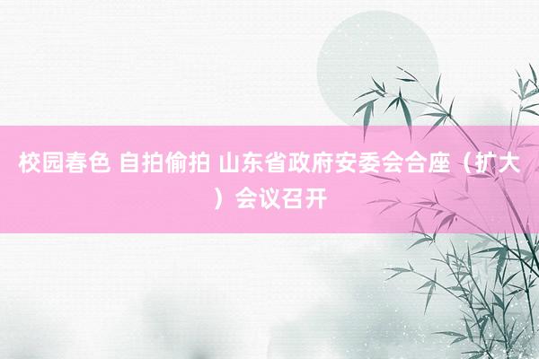 校园春色 自拍偷拍 山东省政府安委会合座（扩大）会议召开