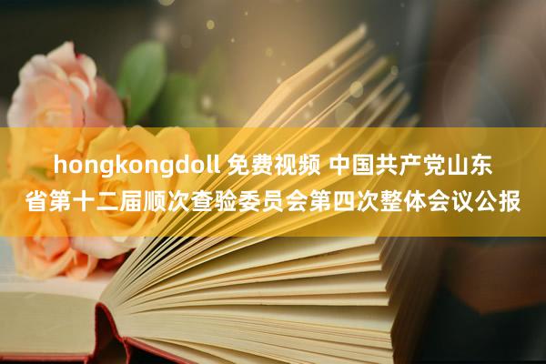 hongkongdoll 免费视频 中国共产党山东省第十二届顺次查验委员会第四次整体会议公报