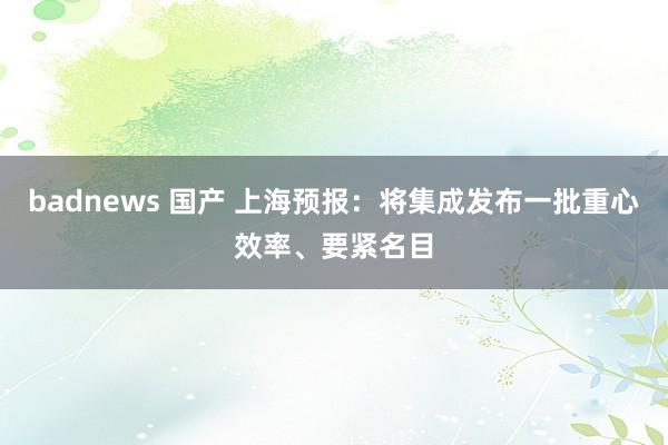badnews 国产 上海预报：将集成发布一批重心效率、要紧名目