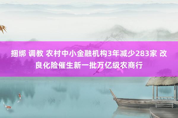捆绑 调教 农村中小金融机构3年减少283家 改良化险催生新一批万亿级农商行
