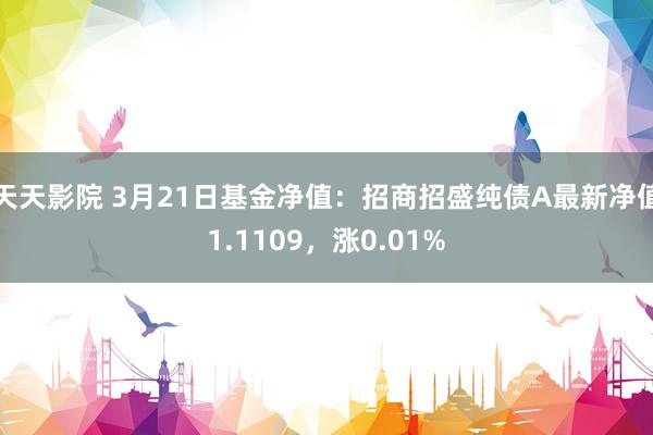 天天影院 3月21日基金净值：招商招盛纯债A最新净值1.1109，涨0.01%