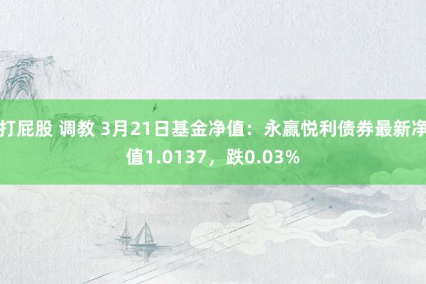 打屁股 调教 3月21日基金净值：永赢悦利债券最新净值1.0137，跌0.03%