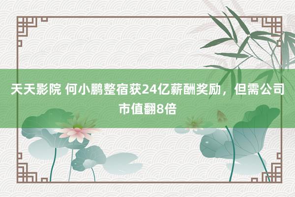 天天影院 何小鹏整宿获24亿薪酬奖励，但需公司市值翻8倍