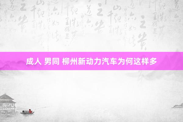 成人 男同 柳州新动力汽车为何这样多