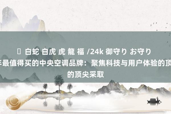 ✨白蛇 白虎 虎 龍 福 /24k 御守り お守り 2025年最值得买的中央空调品牌：聚焦科技与用户体验的顶尖采取