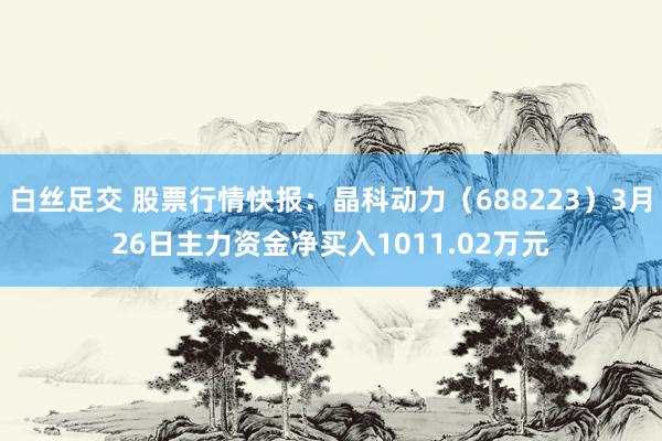 白丝足交 股票行情快报：晶科动力（688223）3月26日主力资金净买入1011.02万元