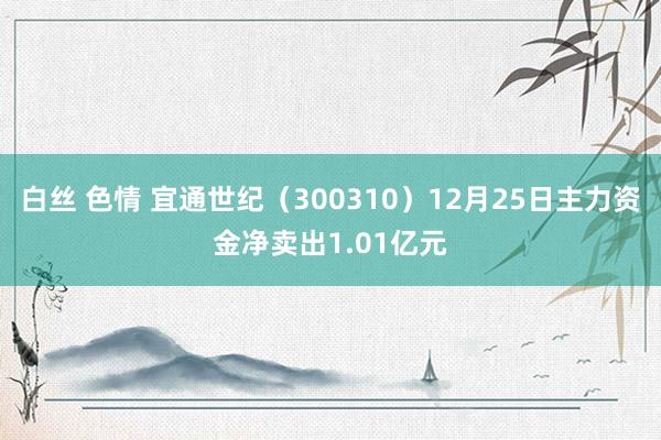白丝 色情 宜通世纪（300310）12月25日主力资金净卖出1.01亿元