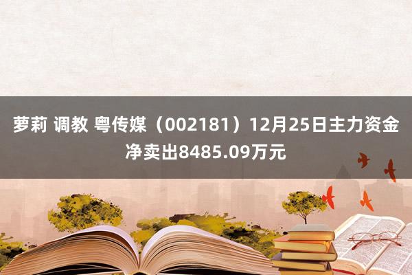萝莉 调教 粤传媒（002181）12月25日主力资金净卖出8485.09万元