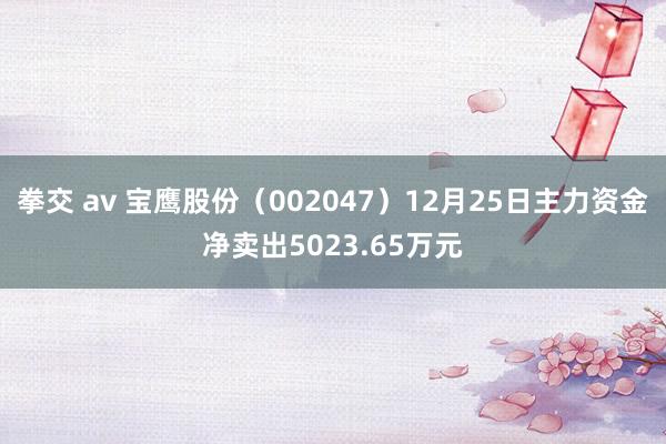 拳交 av 宝鹰股份（002047）12月25日主力资金净卖出5023.65万元