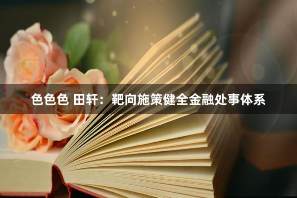 色色色 田轩：靶向施策健全金融处事体系
