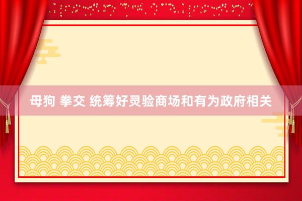 母狗 拳交 统筹好灵验商场和有为政府相关