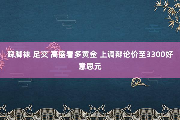踩脚袜 足交 高盛看多黄金 上调辩论价至3300好意思元