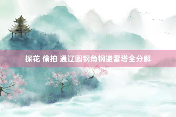 探花 偷拍 通辽圆钢角钢避雷塔全分解