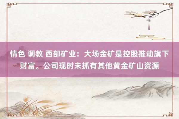 情色 调教 西部矿业：大场金矿是控股推动旗下财富。公司现时未抓有其他黄金矿山资源