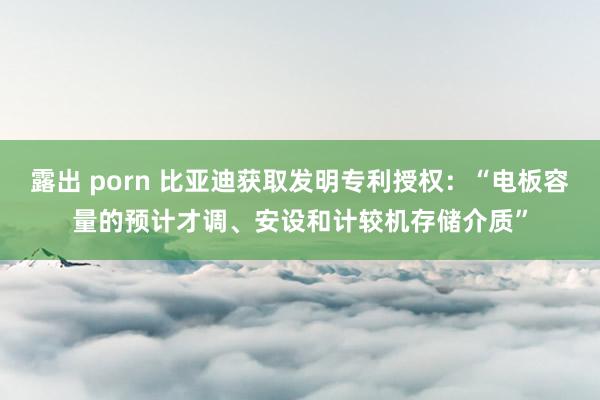 露出 porn 比亚迪获取发明专利授权：“电板容量的预计才调、安设和计较机存储介质”