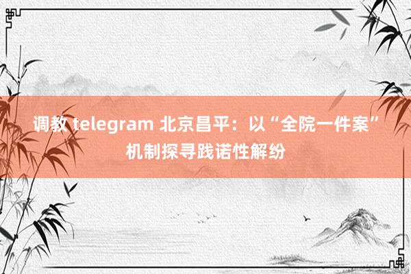 调教 telegram 北京昌平：以“全院一件案”机制探寻践诺性解纷