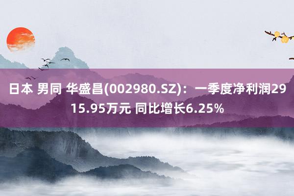日本 男同 华盛昌(002980.SZ)：一季度净利润2915.95万元 同比增长6.25%