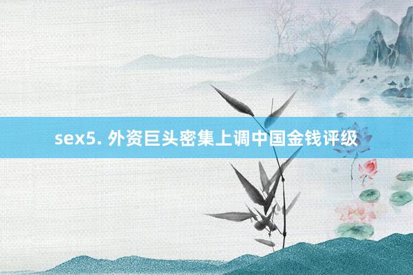 sex5. 外资巨头密集上调中国金钱评级