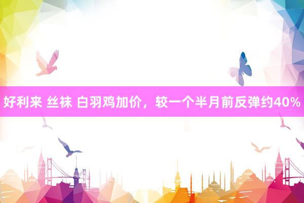 好利来 丝袜 白羽鸡加价，较一个半月前反弹约40%