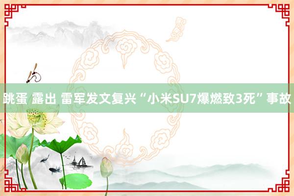 跳蛋 露出 雷军发文复兴“小米SU7爆燃致3死”事故